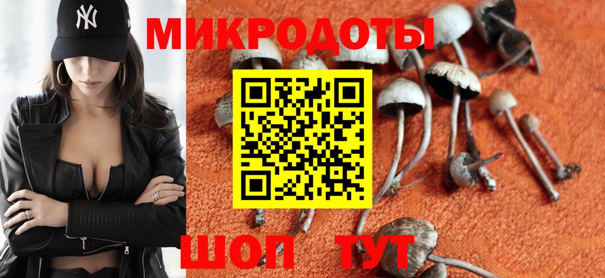 наркотики  Псилоцибиновые грибы прущие грибы  Вход с VPN  Фурманов 